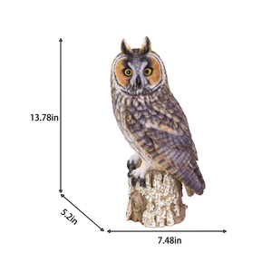 SOREAL Long Eared Owl on Branch