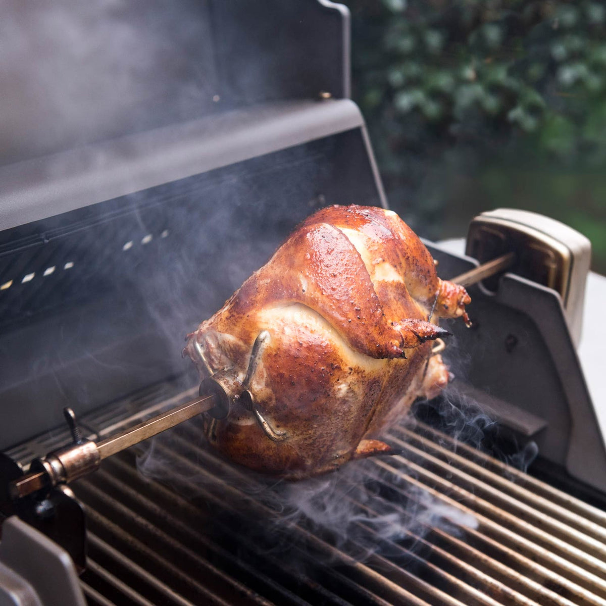 Stainless Steel Rotisserie Kit With Case
