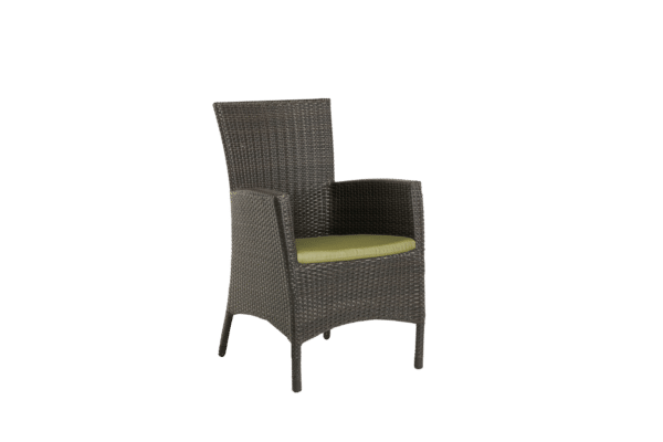 Ratana Palm Harbor Club Chair