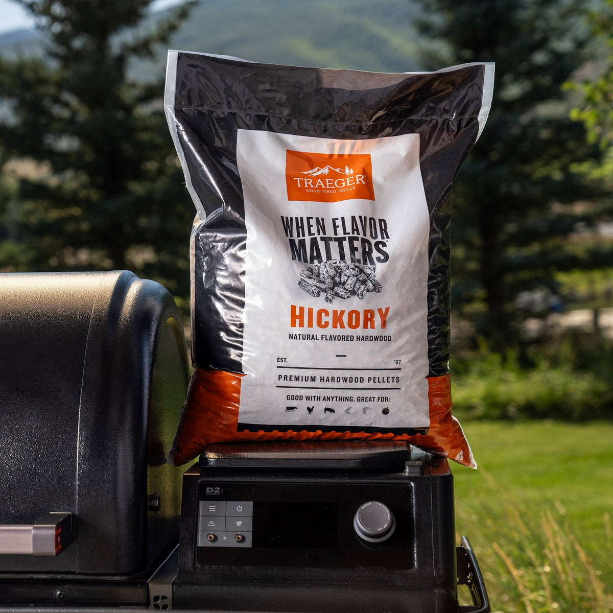 Traeger Hickory Pellets (20 Lb)