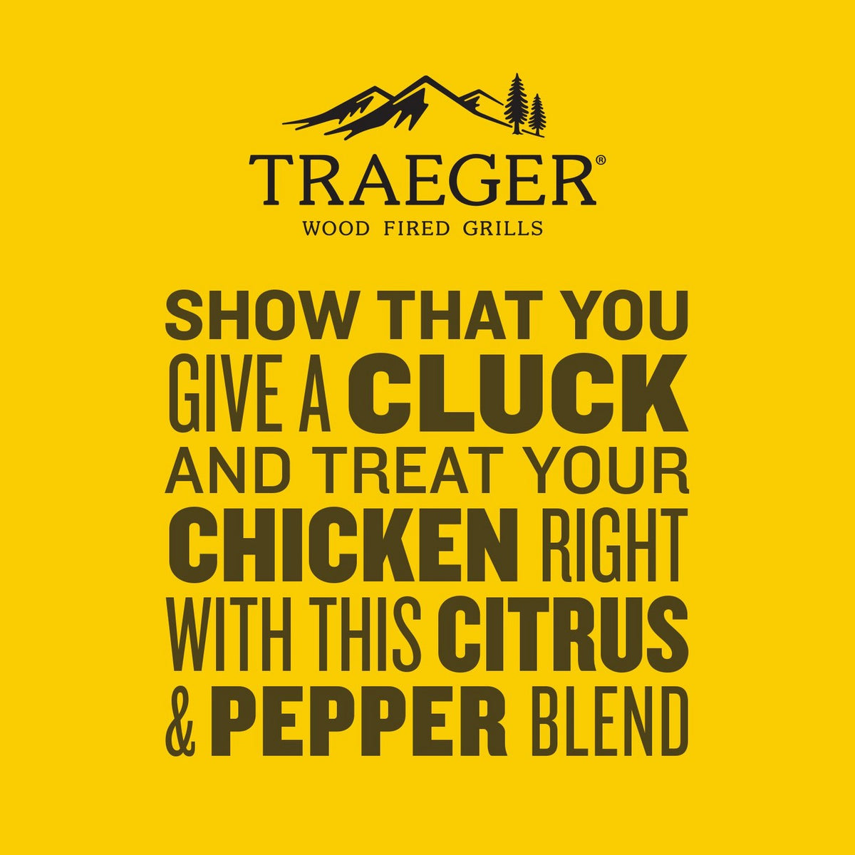 Traeger Chicken Rub 12.5oz