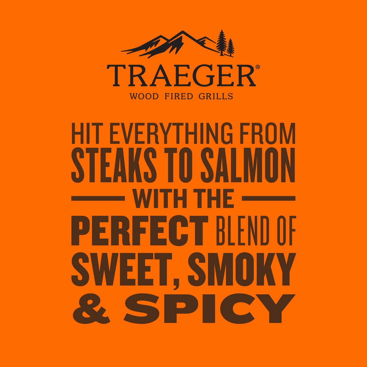 Traeger Rub 12.5oz