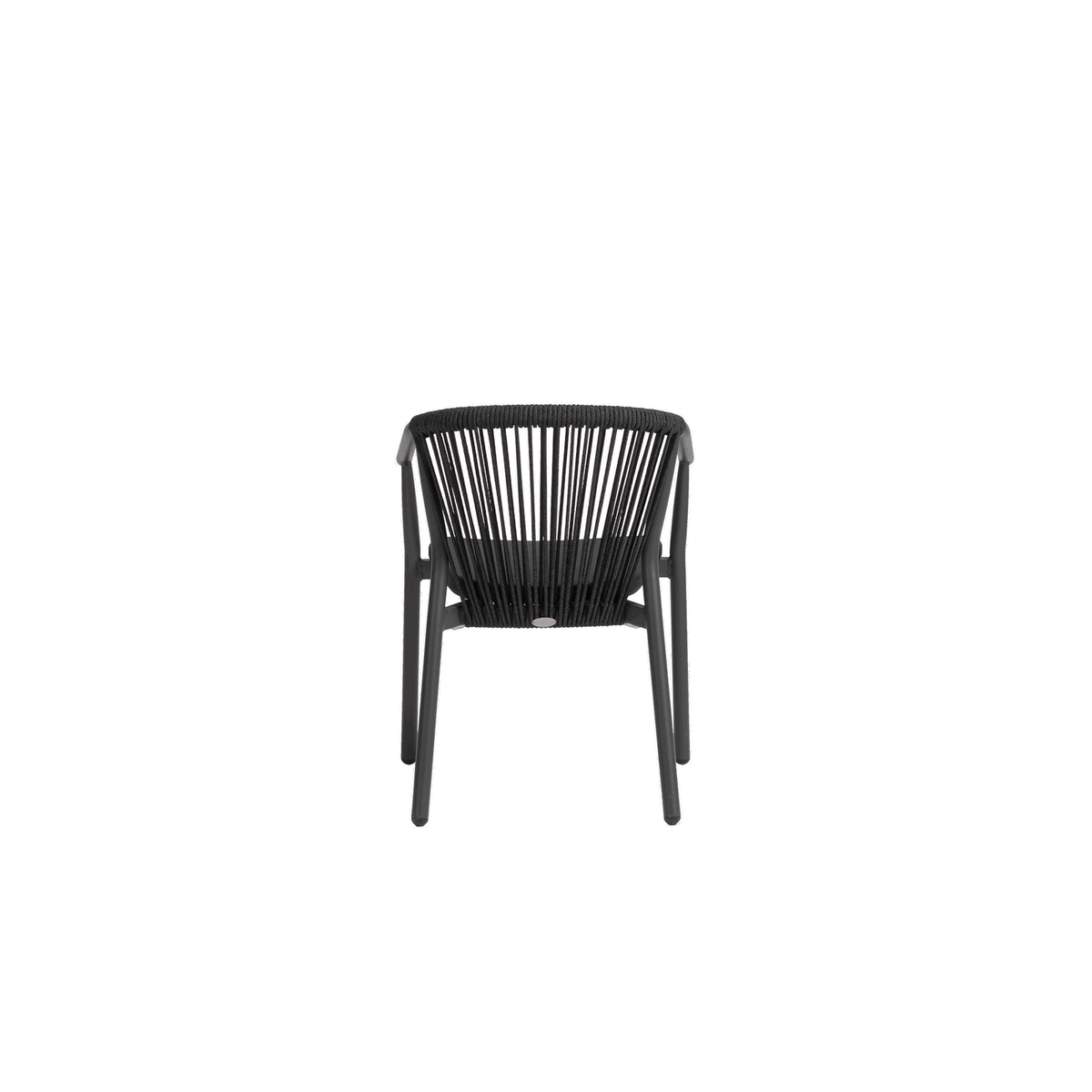 Trinity Dining Arm Chair Black