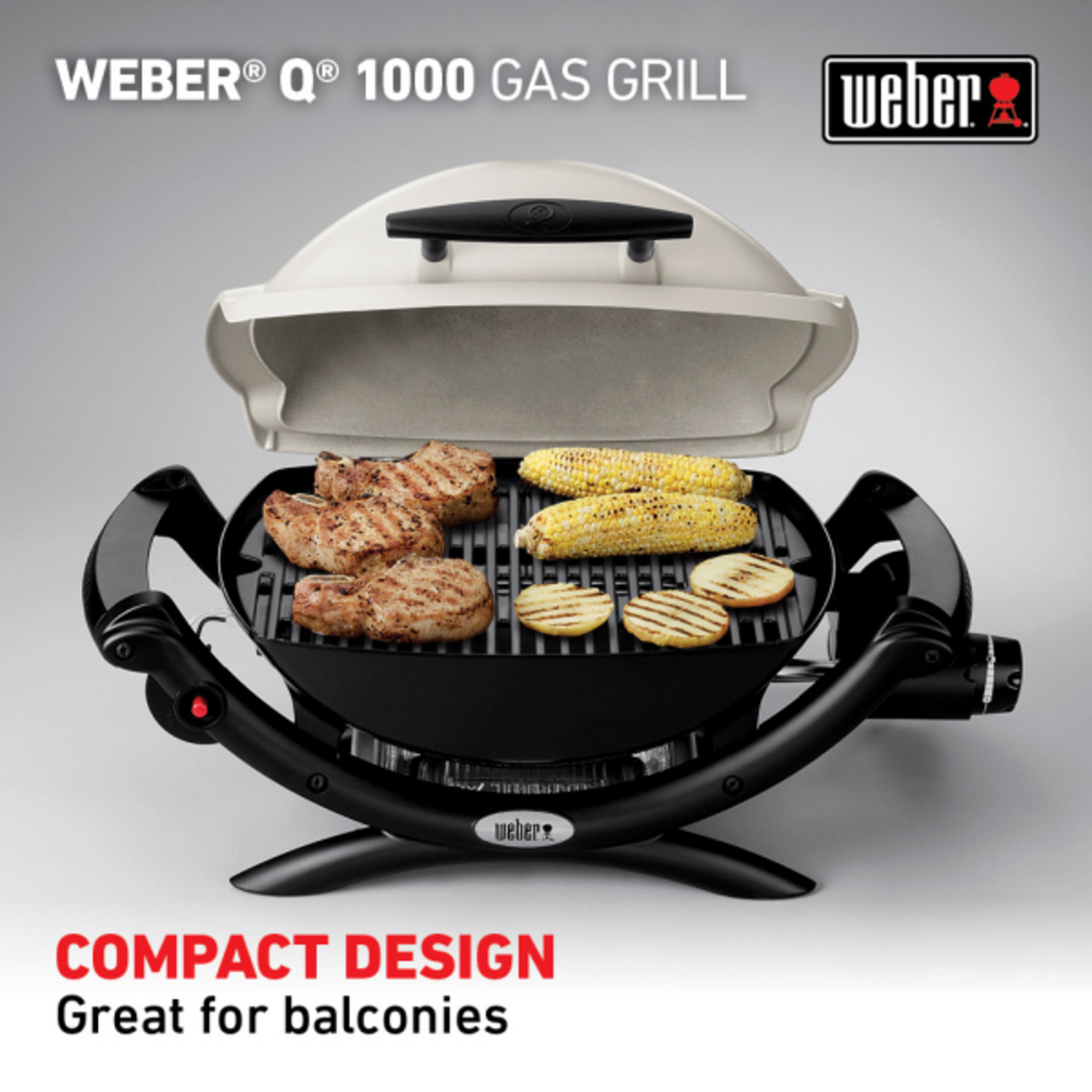 Weber Q 1000 Gas Grill Titanium LP