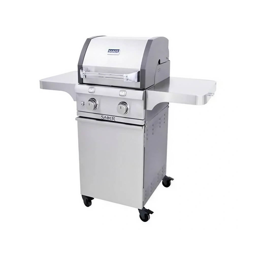 Deluxe Stainless 2-Burner Gas Grill