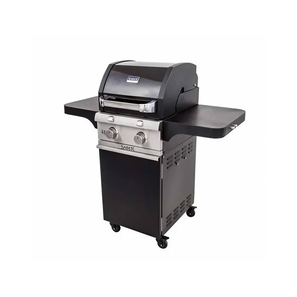 Deluxe Black 2-Burner Gas Grill