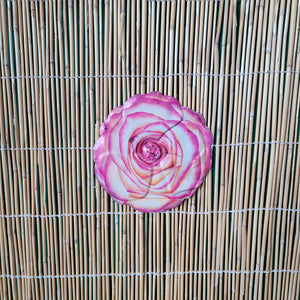 Wall Art Flower