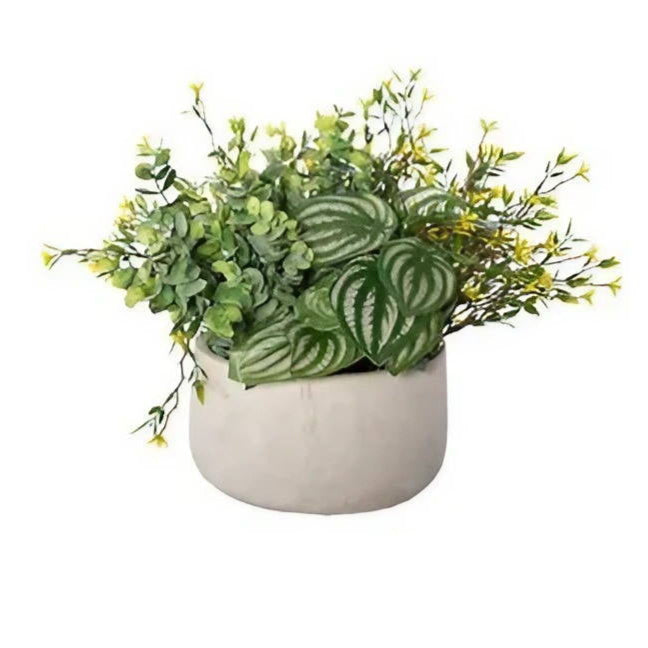 Centerpiece with Peperomias and Small Yellow Flowers - Silk Plant