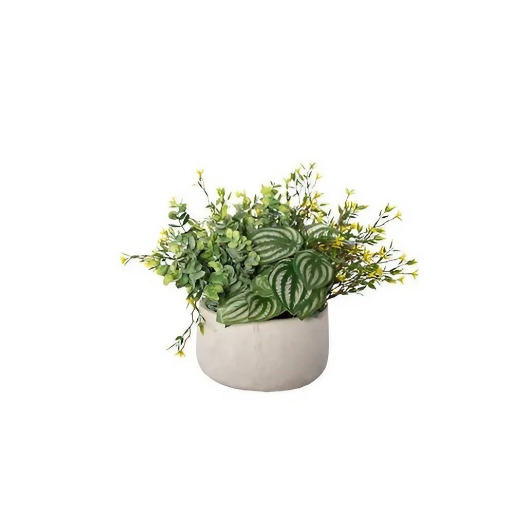 Centerpiece with Peperomias and Small Yellow Flowers - Silk Plant