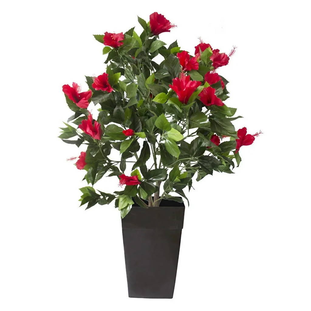 Red Flowered Hibiscus in Pot - Silk Plant