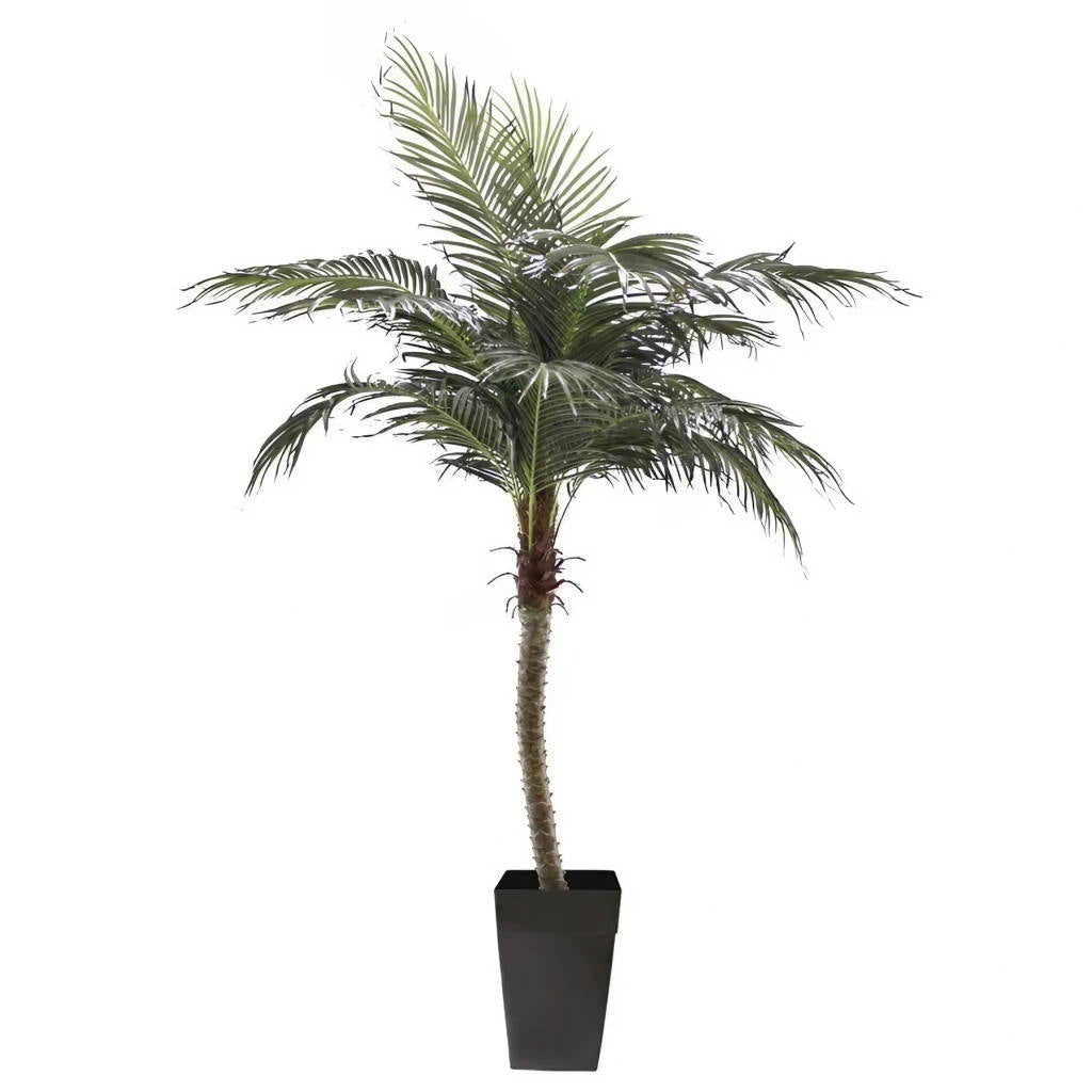palm tree silk plant Potted Phoenix Palm Tree - Silk Plant